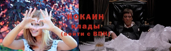 шишки Абаза
