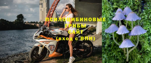 молекула духа Абдулино