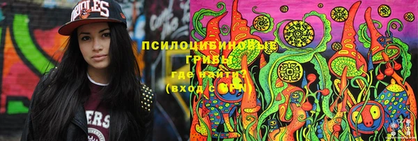 spice Абинск