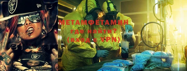 шишки Абаза