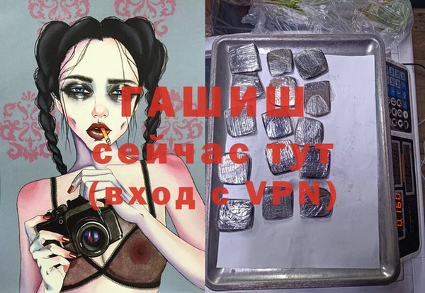 шишки Абаза