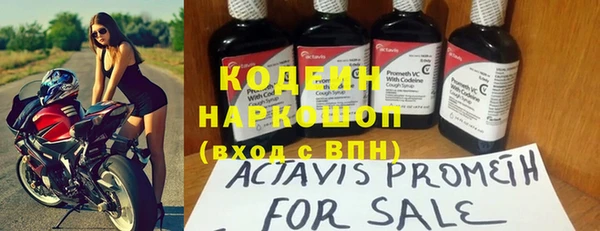 шишки Абаза