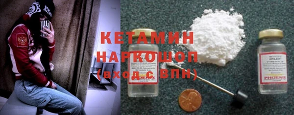шишки Абаза