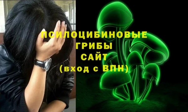 spice Абинск